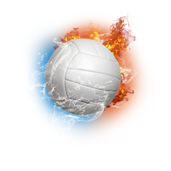 2019-2020 Wolverine Volleyball